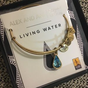 Alex & Ani Living Water bracelet